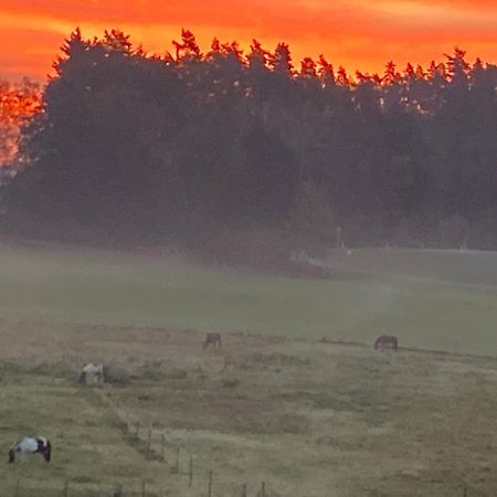 Bärenhof Lägenhet Tirschenreuth Exteriör bild