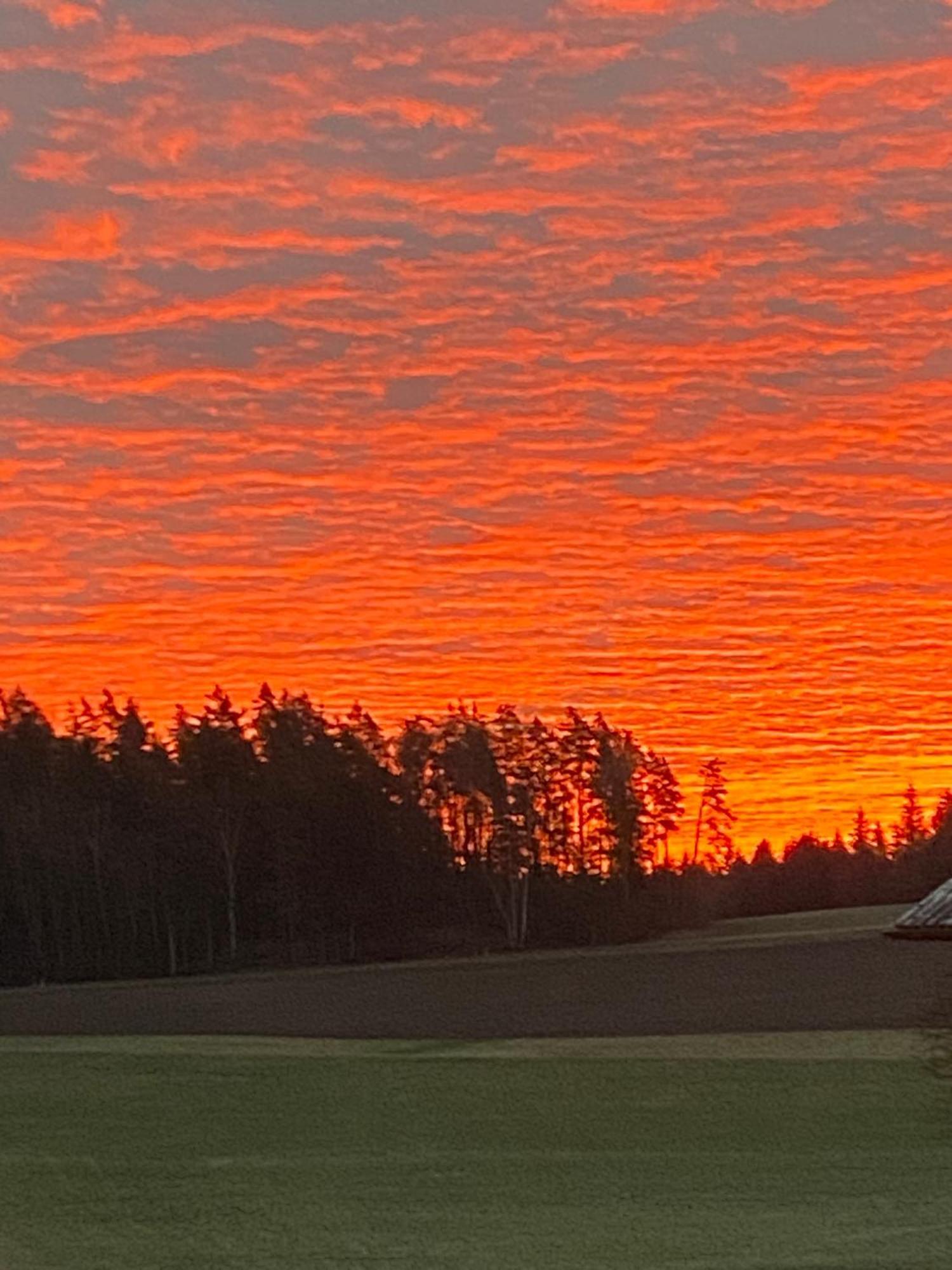 Bärenhof Lägenhet Tirschenreuth Exteriör bild