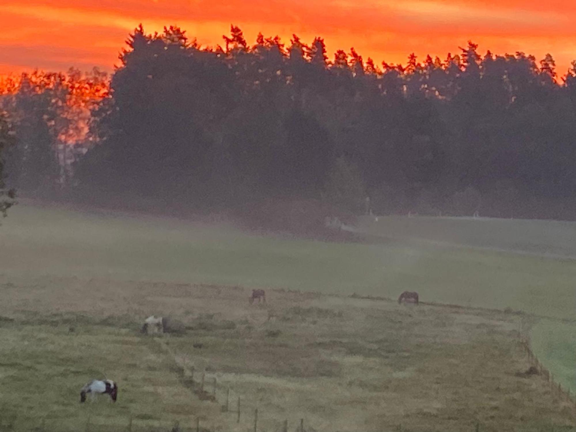 Bärenhof Lägenhet Tirschenreuth Exteriör bild